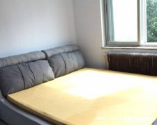 桃李街 九中附近 中等装修